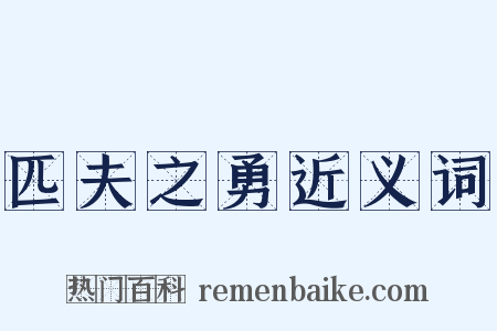 匹夫之勇近义词是什么意思的图片